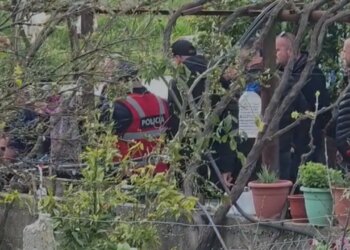 Krimi në Roskovec: Një i moshuar vret bashkëshorten dhe më pas kryen vetëvrasje, policia kishte intervenuar disa ditë më parë për të zgjidhur konfliktin.