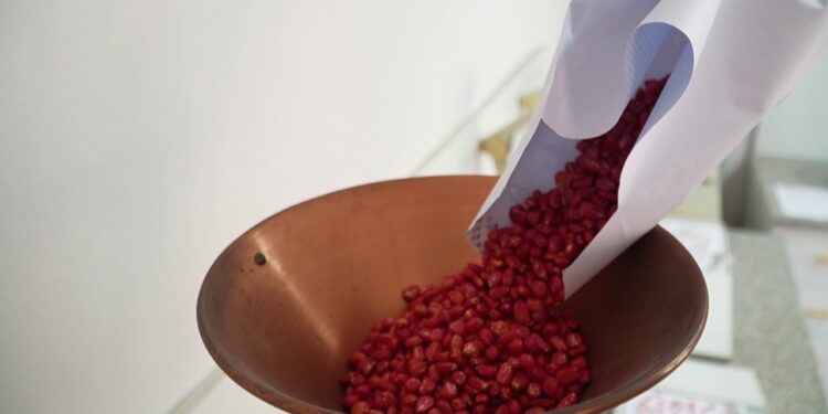 Përballja me vështirësitë e farave të importuara, Enti Shtetëror: Të gjitha do të kalojnë prova laboratorike përpara se të dalin në treg.