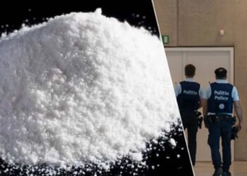 Të kërkuar tre shqiptarët e akuzuar për trafik droge në Belgjikë, arratisen në Shqipëri dhe humbin garancitë prej mijëra eurosh.