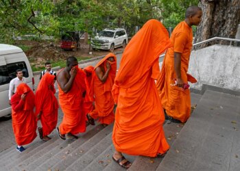 22 murgj arrestohen në aeroportin e Sri Lankës me 110 kg kanabis, dyshohet rrjet i organizuar