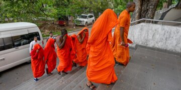 22 murgj arrestohen në aeroportin e Sri Lankës me 110 kg kanabis, dyshohet rrjet i organizuar