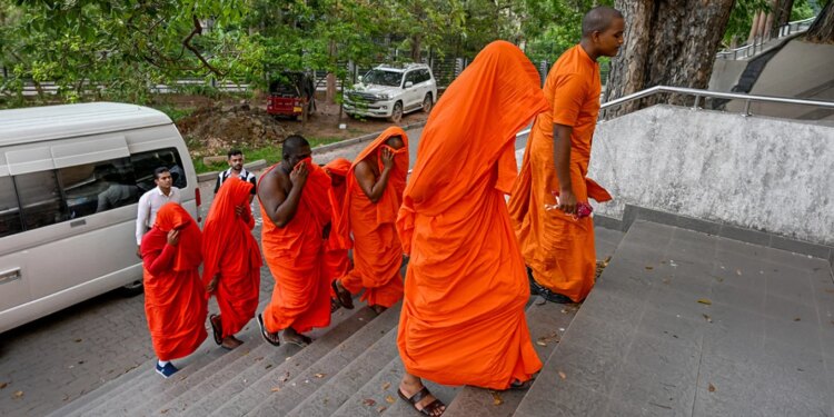 22 murgj arrestohen në aeroportin e Sri Lankës me 110 kg kanabis, dyshohet rrjet i organizuar