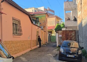 68-vjeçari i ndaluar për dhunë vdiq në spital, më parë kishte tentuar vetëdigjen, deklarojnë fqinjët: Ai kishte ushtruar dhunë ndaj motrave të tij.