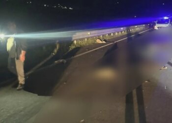 Aksident në aksin Orikum–Vlorë: automjeti përplaset me 10 bagëti, lëndohet edhe çobani