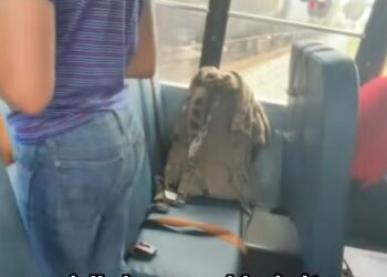 Aksident tragjik në Shtetet e Bashkuara: Autobusi i nxënësve goditet nga një tren, shoferja 67-vjeçare ndalohet nga policia.