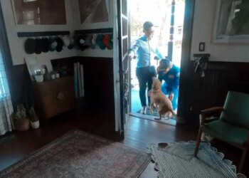 Astronautja e Artemis II takon qenushin e saj pas disa ditësh, ribashkimi bëhet viral