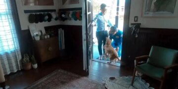 Astronautja e Artemis II takon qenushin e saj pas disa ditësh, ribashkimi bëhet viral