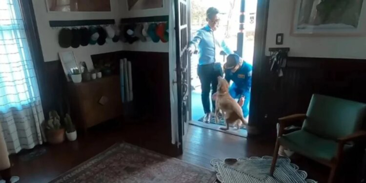 Astronautja e Artemis II takon qenushin e saj pas disa ditësh, ribashkimi bëhet viral