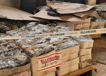 Bllokohen mbi 110 ton fruta-perime në Shkodër për mungesë kushtesh higjeno-sanitare
