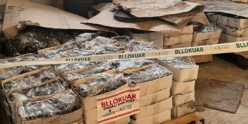 Bllokohen mbi 110 ton fruta-perime në Shkodër për mungesë kushtesh higjeno-sanitare