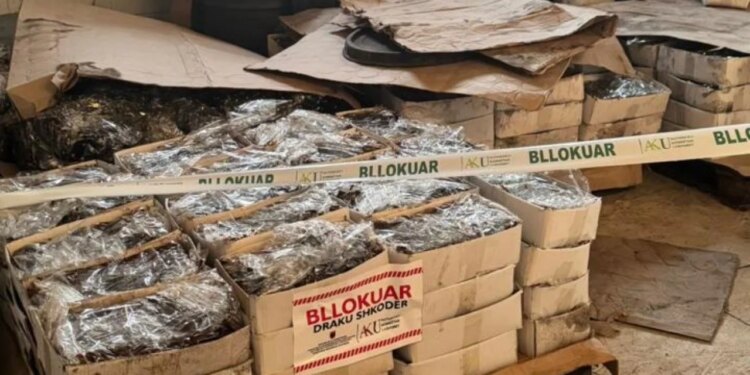 Bllokohen mbi 110 ton fruta-perime në Shkodër për mungesë kushtesh higjeno-sanitare