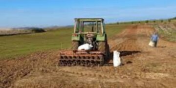 Fermerët përballen me kosto në rritje: shtrenjtohen punimet, plehrat dhe nafta, rrezikohet prodhimi bujqësor