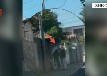 Goditet baza e shpërndarjes së drogës në Shkodër; dy rinj në pranga, tjetër në kërkim; sekuestrohen kokainë, kanabis