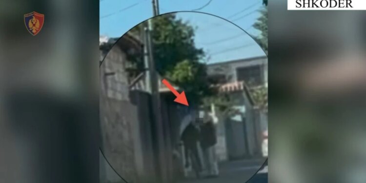 Goditet baza e shpërndarjes së drogës në Shkodër; dy rinj në pranga, tjetër në kërkim; sekuestrohen kokainë, kanabis