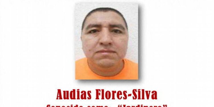 Goditje e re e rëndë ndaj karteleve meksikane: kapet një nga komandantët më të rëndësishëm