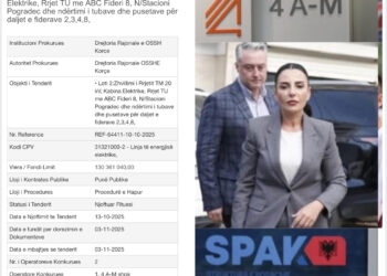Bashkim Ulaj nuk njeh të ngopur/ Tender i dyshimtë në Ministrinë e Energjisë, vetëm 2 firma në garë, fiton ‘4 A-M’ e Ardit Metaliajt!