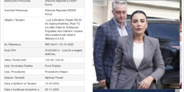 Bashkim Ulaj nuk njeh të ngopur/ Tender i dyshimtë në Ministrinë e Energjisë, vetëm 2 firma në garë, fiton ‘4 A-M’ e Ardit Metaliajt!