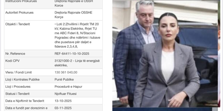 Bashkim Ulaj nuk njeh të ngopur/ Tender i dyshimtë në Ministrinë e Energjisë, vetëm 2 firma në garë, fiton ‘4 A-M’ e Ardit Metaliajt!
