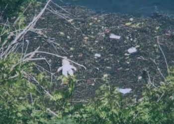 Inside Story/ Futi vajzat në ujë... Mesazhi nga burgu nga tentativa vrasjeje të fëmijëve e zjarri në banesë