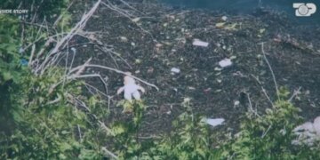 Inside Story/ Futi vajzat në ujë... Mesazhi nga burgu nga tentativa vrasjeje të fëmijëve e zjarri në banesë