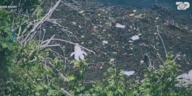 Inside Story/ Futi vajzat në ujë... Mesazhi nga burgu nga tentativa vrasjeje të fëmijëve e zjarri në banesë