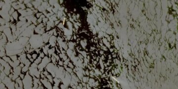 Izraeli: Goditëm një automjet në jug të Libanit; përbënte kërcënim të menjëhershëm