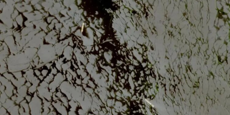 Izraeli: Goditëm një automjet në jug të Libanit; përbënte kërcënim të menjëhershëm