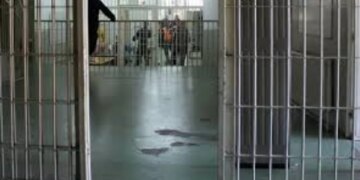 Kishte shkuar për të takuar familjarin e dënuar në Fushë-Krujë; tenton të fusë kanabis në qeli, ndalohet