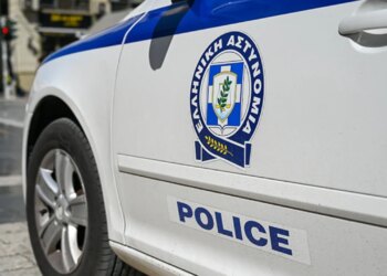 Krim i rëndë në Greqi: Persona të panjohur helmojnë 21 qen endacakë, nisin hetimet