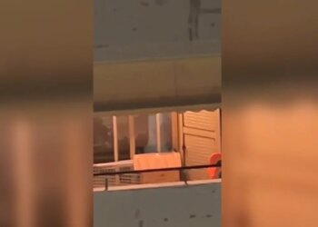 Lanë qenin të mbyllur në ballkon dhe ikën drejt Greqisë; zjarrfikësit shpëtojnë kafshën shtëpiake në Vlorë