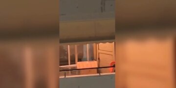 Lanë qenin të mbyllur në ballkon dhe ikën drejt Greqisë; zjarrfikësit shpëtojnë kafshën shtëpiake në Vlorë