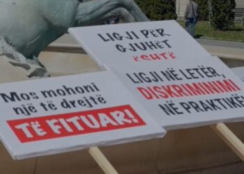 "Legjislacioni i shkruar, diskriminim në zbatim" / Protestë për gjuhën shqipe në Maqedoninë e Veriut, pankartat mbushin Shkupin.