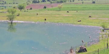 Liqeni i Kukësit i ndotur, mbetjet pushtojnë ujin dhe rrezikojnë turizmin