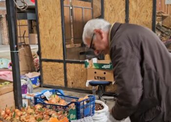Në Korçë, pensionistët ankohen për çmimet e fruta-perimeve: Konsumojmë më pak