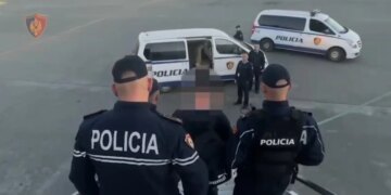 Në kuadër të hetimeve për dosjen “Metamorfoza”, Aleks Ndreka ekstradohet në Shqipëri. Ai është i përfshirë në grupin kriminal dhe kishte rol në sigurimin e kushteve për vrasjen e tre individëve.