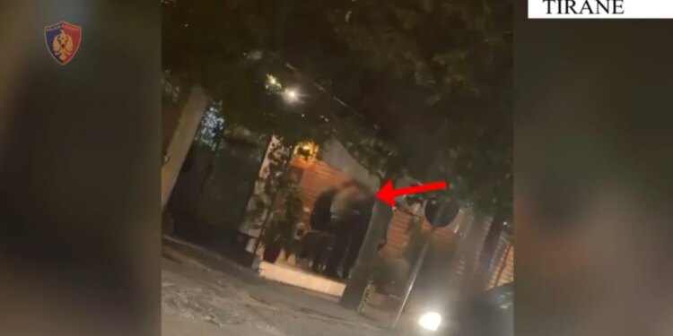 Operacion antidrogë në Tiranë: 36 urdhër-arreste lëshuar, 17 të ekzekutuara