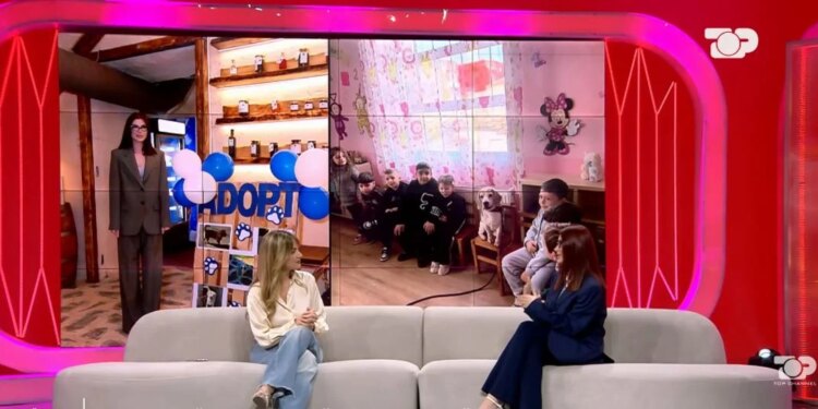 Paola Sula flet për jetën e saj: betejën me ankthin dhe si një qenush u bë mision jete