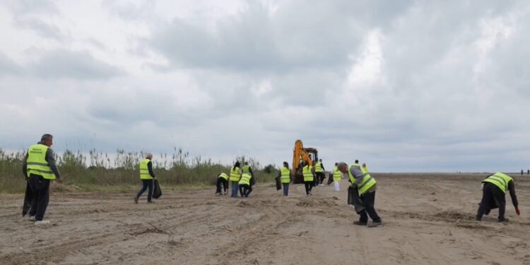 Pastrimi i plazheve para sezonit turistik: po hiqen mbetjet urbane në Vilë Bashtovë