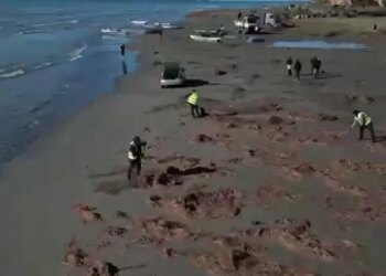 Pastrohen plazhet para sezonit turistik: Aksion në Vlorë dhe Fier me nxënës, banorë dhe ushtrinë
