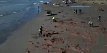 Pastrohen plazhet para sezonit turistik: Aksion në Vlorë dhe Fier me nxënës, banorë dhe ushtrinë