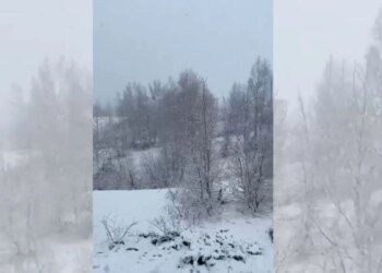 Pranverë me dëborë në zonat malore të Kukësit; ulen ndjeshëm temperaturat, ekspertët shqetësohen për dëme në kulturat bujqësore