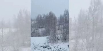 Pranverë me dëborë në zonat malore të Kukësit; ulen ndjeshëm temperaturat, ekspertët shqetësohen për dëme në kulturat bujqësore