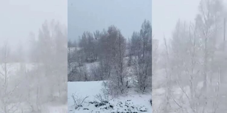 Pranverë me dëborë në zonat malore të Kukësit; ulen ndjeshëm temperaturat, ekspertët shqetësohen për dëme në kulturat bujqësore