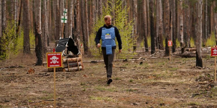 Princi Harry si Diana: eci përmes një fushe të minuar si nëna e tij 30 vjet më parë