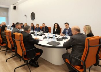 Reforma në drejtësi: institucionet e drejtësisë në bashkëbisedim me juristë nga diaspora