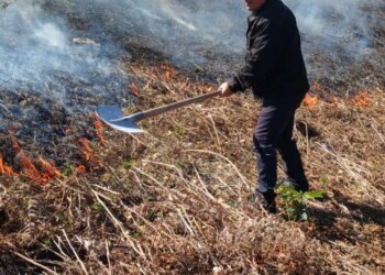 Rikthehet situata e zjarreve në Elbasan, flakët përhapen nga djegia e tokave bujqësore