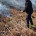 Rikthehet situata e zjarreve në Elbasan, flakët përhapen nga djegia e tokave bujqësore