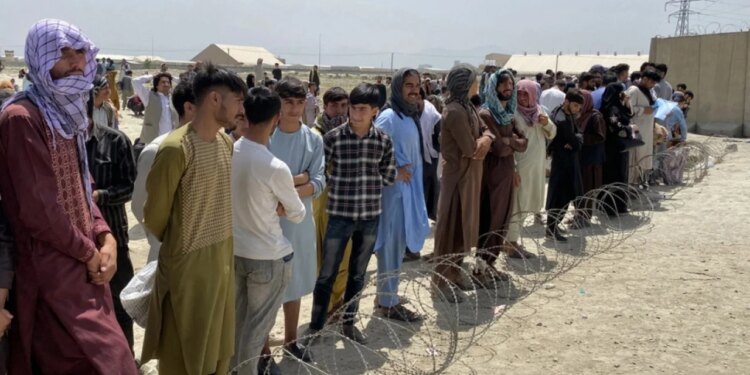 SHBA-ja planifikon të zhvendosë në Kongo mbi një mijë afganë që ndihmuan forcat amerikane në Afganistan