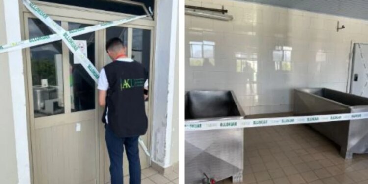 Sekuestrohen 7 ton djathë në Shkodër për shkak se nuk përmbushnin standardet e nevojshme higjieno-sanitare.