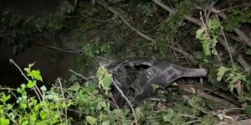 Si ndodhi tragjedia në Lezhë: familjarët alarmuan policinë, 20-vjeçarja me të atin u gjetën të vdekur në makinë